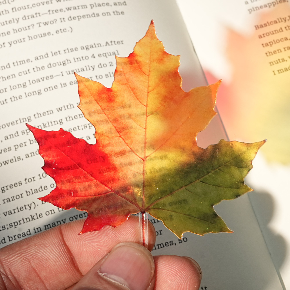 新しい繊細な葉のブックマーク 透明でユニークなグレープトマト - Dried Flower Bookmark のレビューと価格
